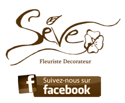FLEURISTE SEVE + facebook